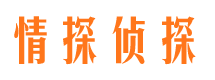 大城市场调查